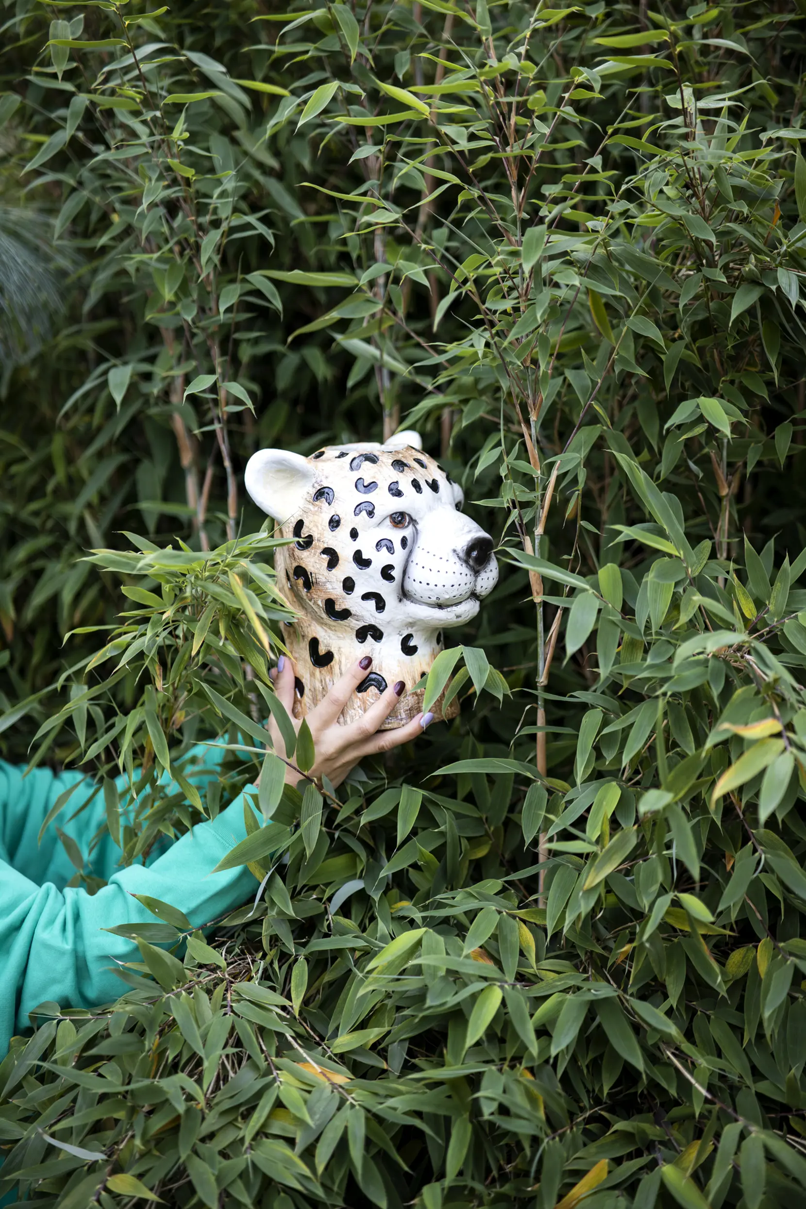 Bild på Vas Cheetah L