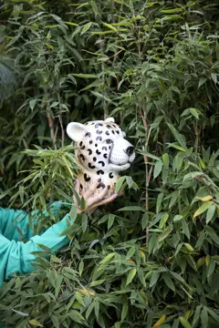 Bild på Vas Cheetah L