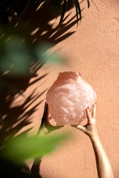 Bild på Vas Corallo M