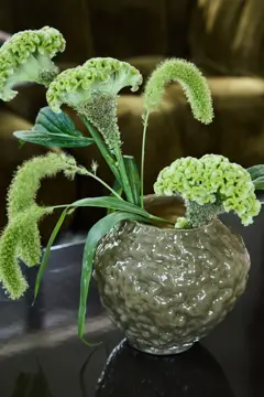 Bild på Vas Corallo XS