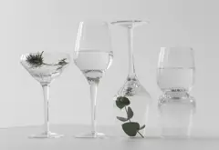 Bild på Champagnekupa Bubbles