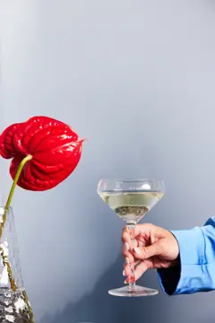 Bild på Champagnekupa Bubbles