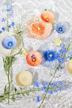 Bild på Assiett Poppy