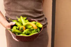 Bild på Skål Veggie M