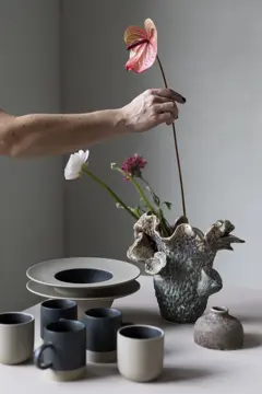 Bild på Mugg Fumiko