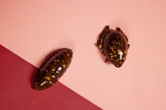 Bild på Salt/peppar Bug