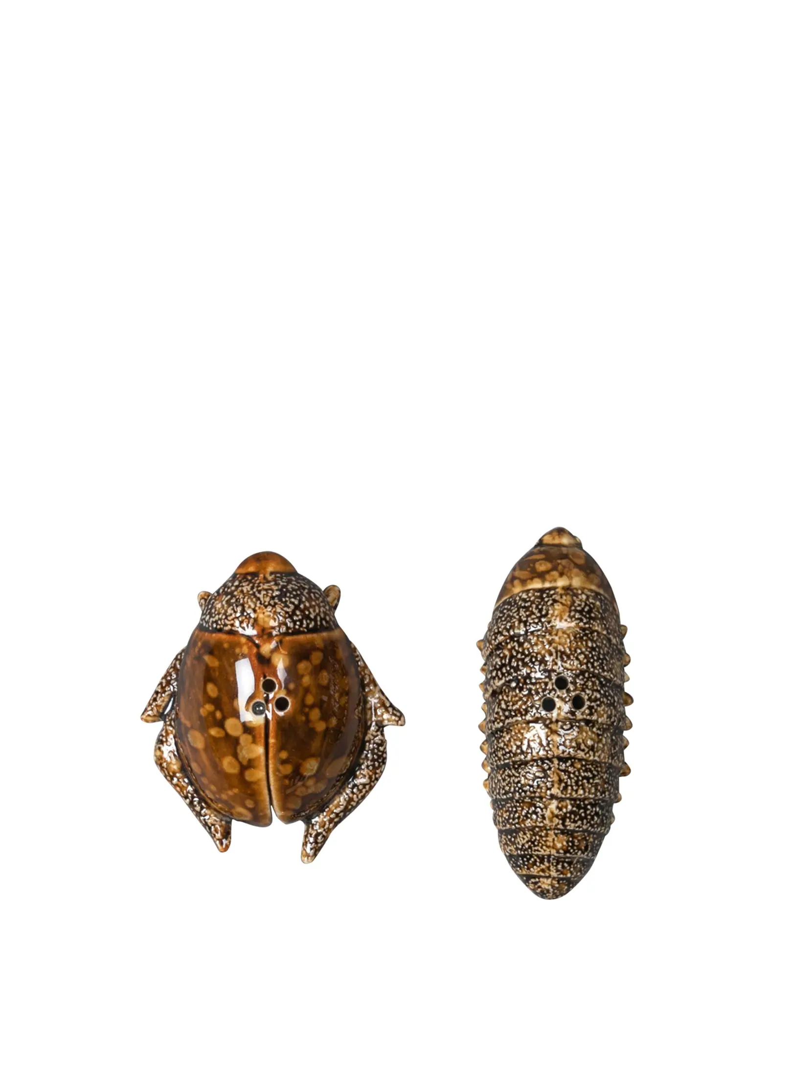 Bild på Salt/peppar Bug Bild på Salt/peppar Bug