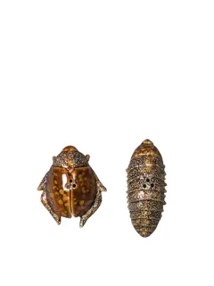 Bild på Salt/peppar Bug