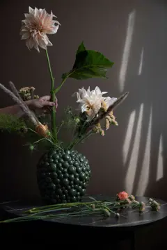 Bild på Vas Celeste