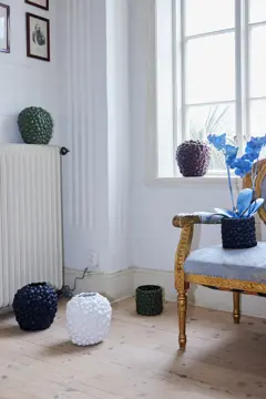 Bild på Vas Celeste