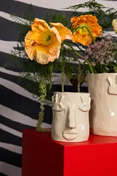 Bild på Kruka Facy L