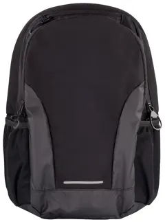 Bild på 2.0 Cooler Backpack