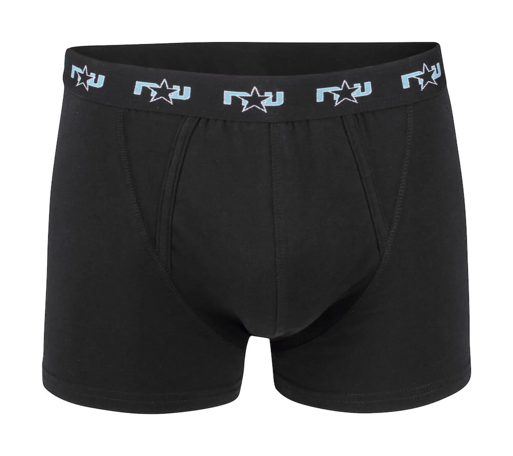 Bild på Boxer Bild på Boxer