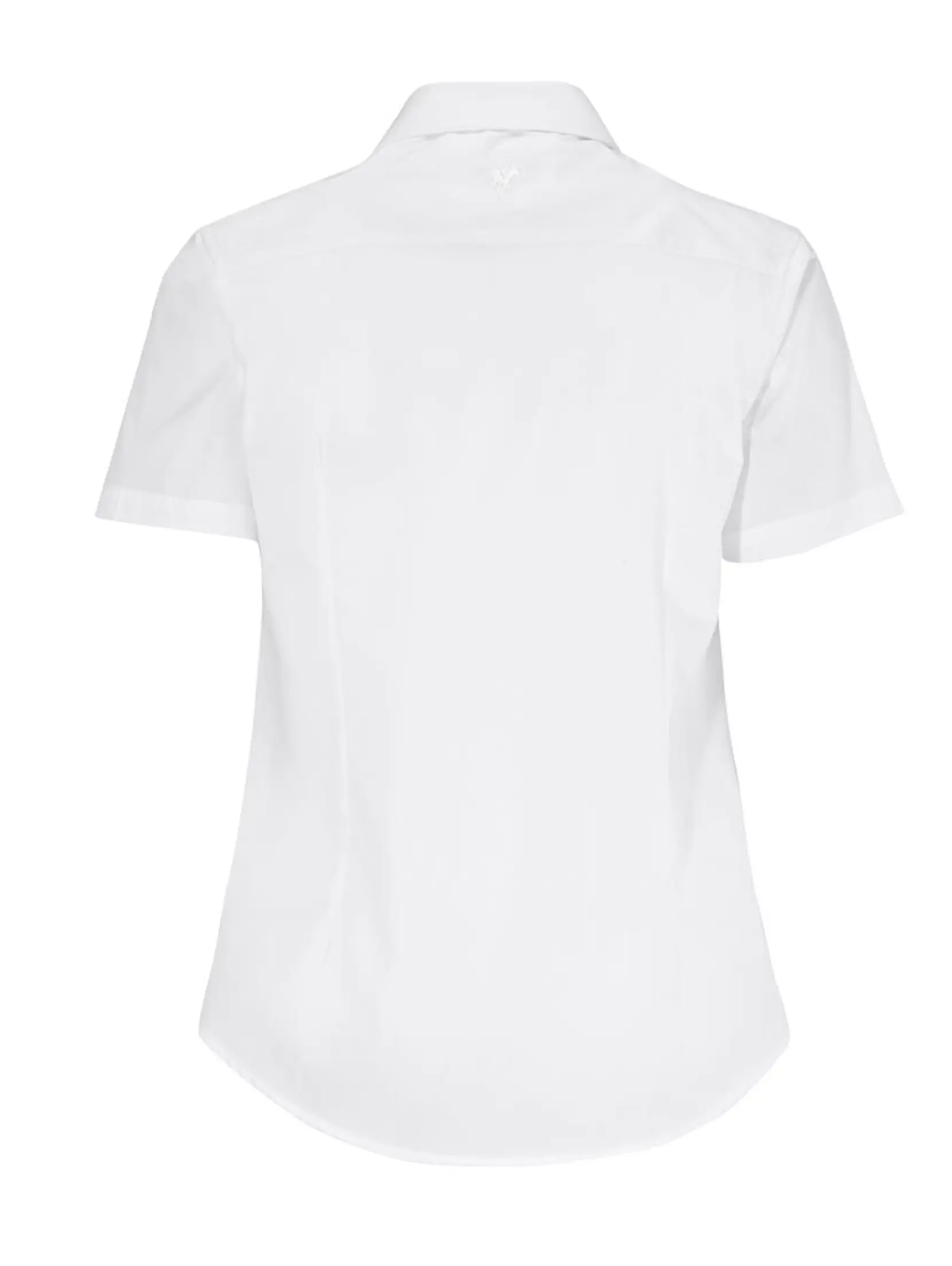 Bild på Powell Lady S/S Bild på Powell Lady S/S