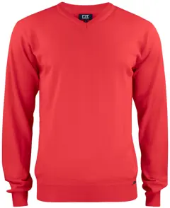 Bild på Everett V-neck Men