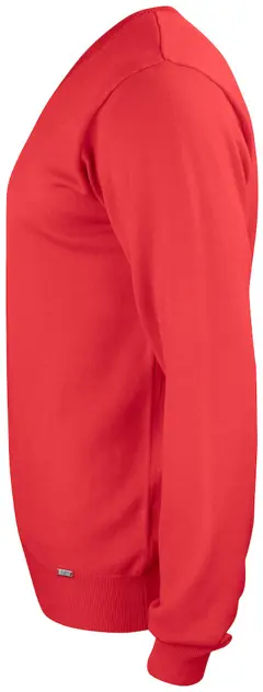 Bild på Everett V-neck Men