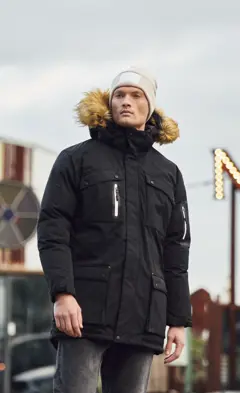 Bild på Malamute