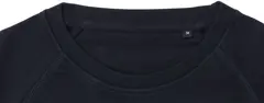 Bild på Raglan Sweatshirt