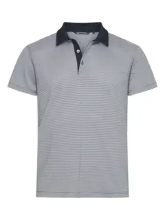 Bild på Virtue Polo Stripes Men
