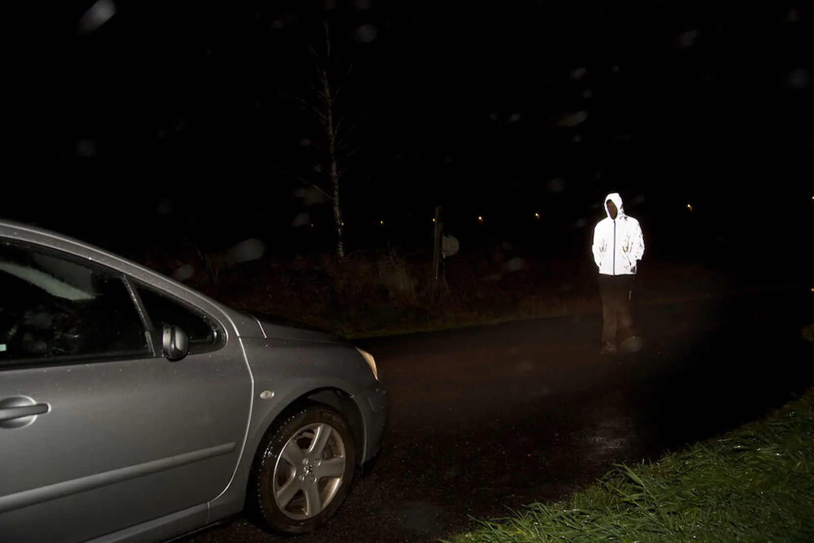 Bild på Hardy Reflective Bild på Hardy Reflective