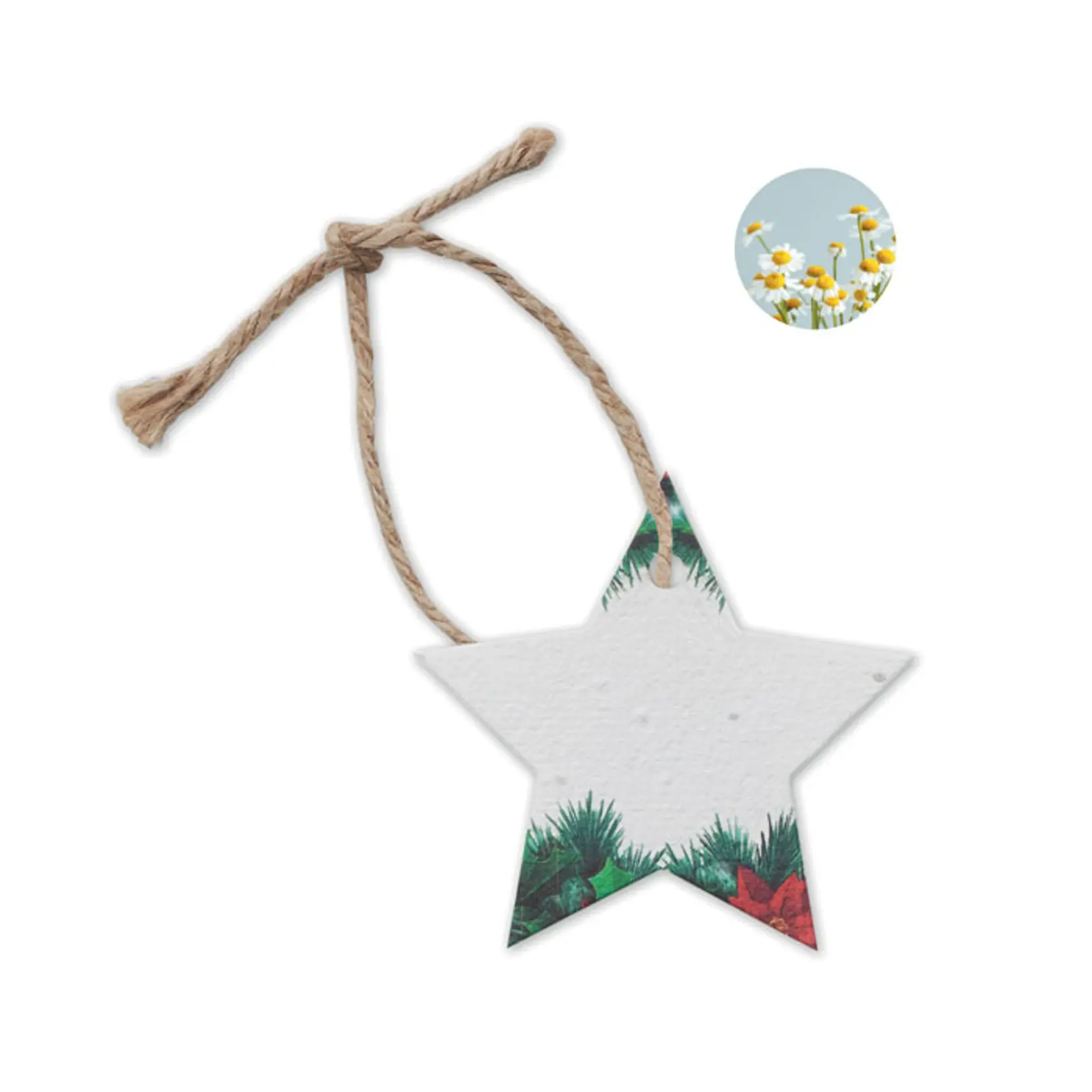 Bild på Julprydnad i fröpapper Bild på Julprydnad i fröpapper