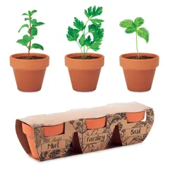Bild på Terracotta set med 3 örtskålar
