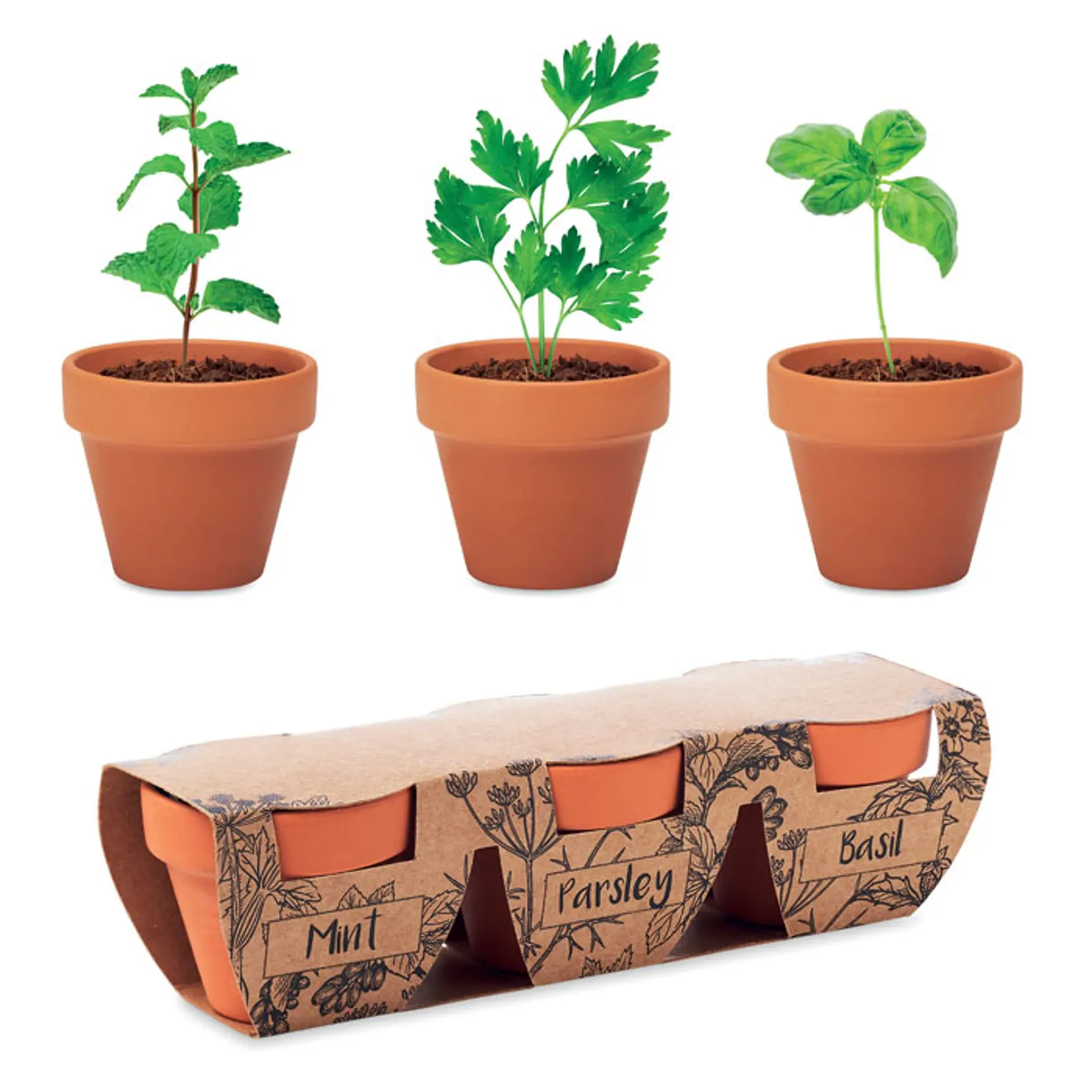 Bild på Terracotta set med 3 örtskålar Bild på Terracotta set med 3 örtskålar