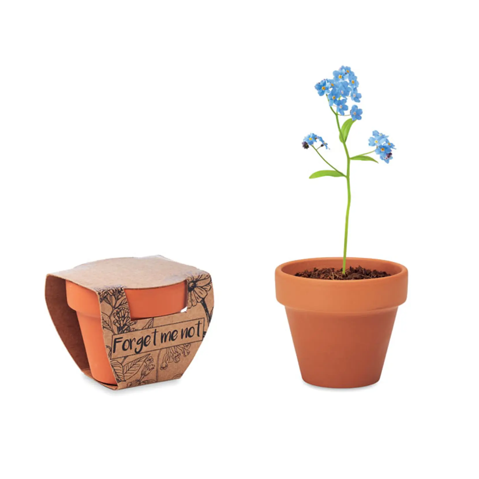 Bild på Terracotta skål 'forget me not' Bild på Terracotta skål 'forget me not'