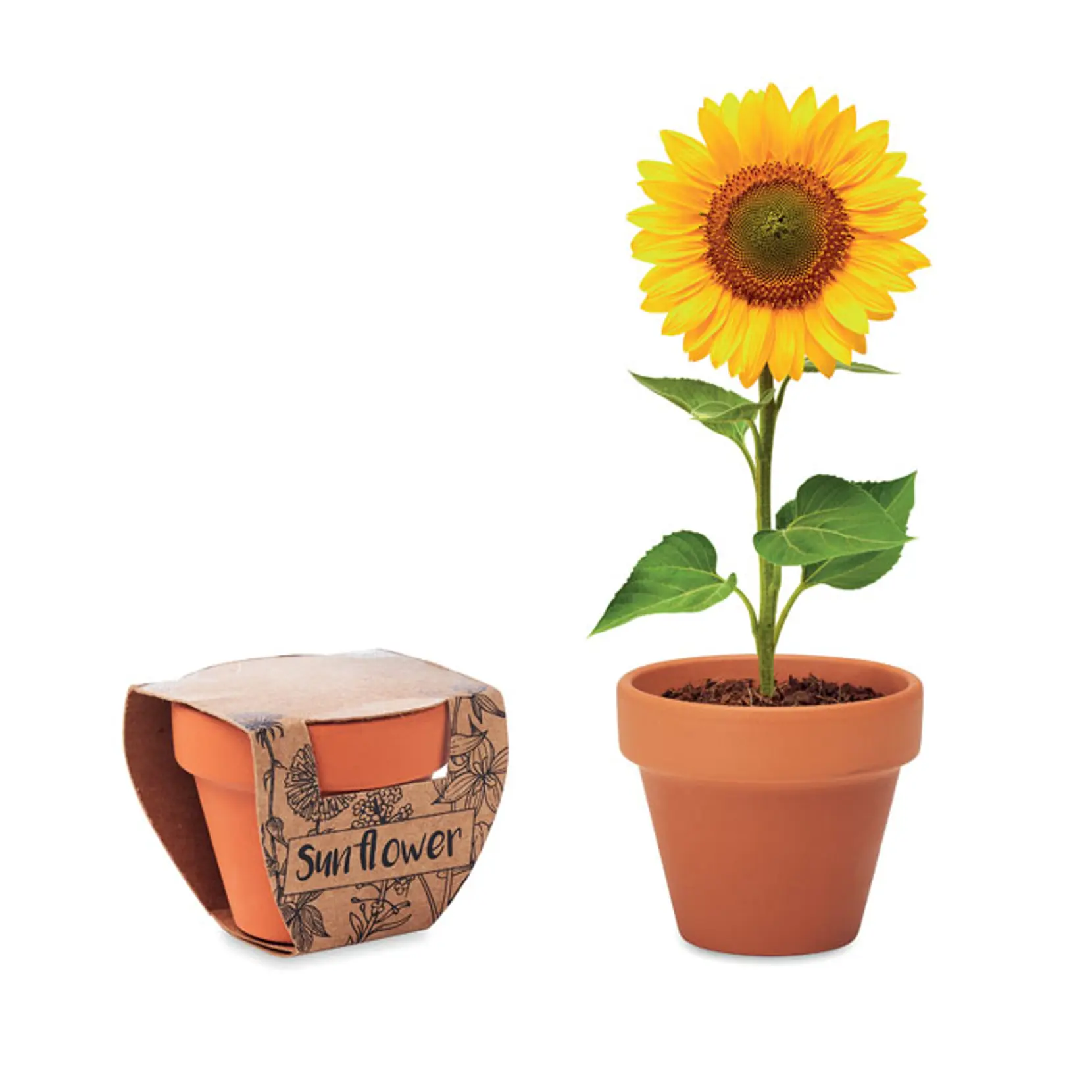 Bild på Terracotta skål 'sunflower'