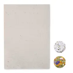 Bild på A4-ark fröpapper vildblommor