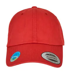 Bild på Ecowash Dad Cap