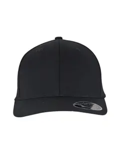 Bild på Flexfit 110 Curved Snapback