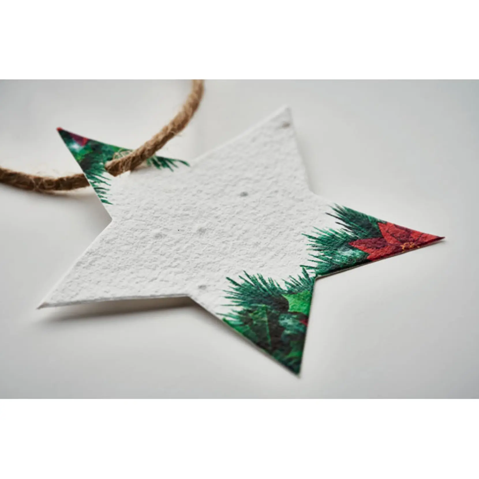 Bild på Julprydnad i fröpapper
