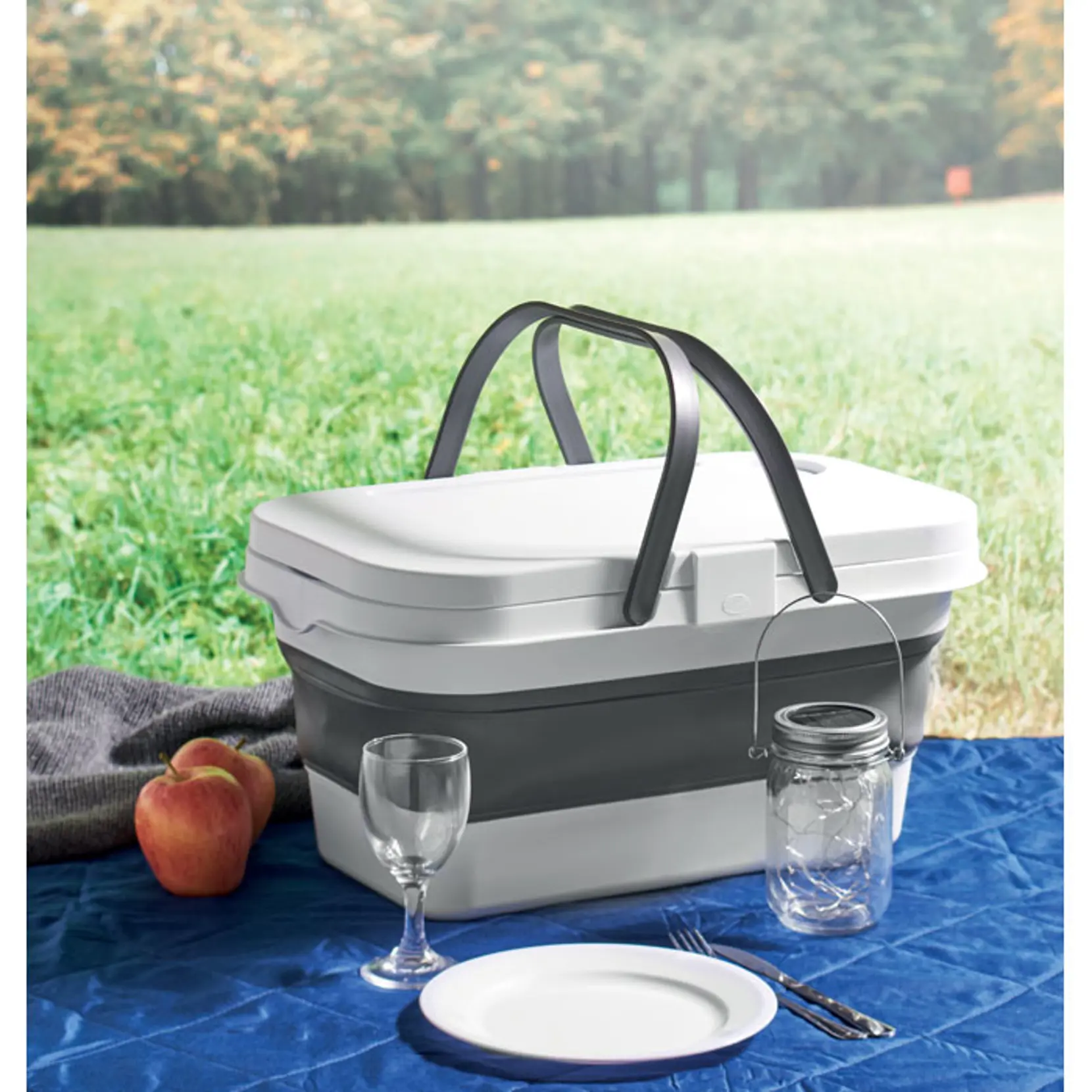 Bild på Hopfällbar picknickkorg
