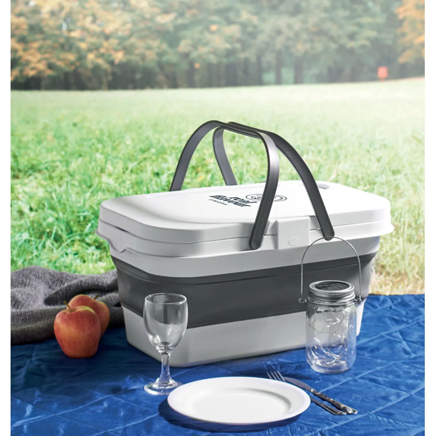Bild på Hopfällbar picknickkorg