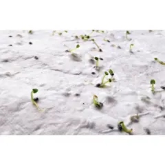 Bild på Visitkort för vildblommafrön.
