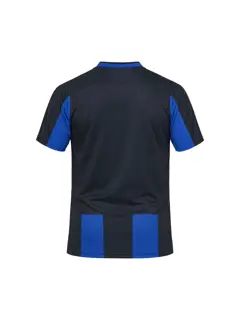 Bild på Evolve 2.0 Stripe Jersey M