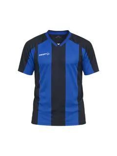 Bild på Evolve 2.0 Stripe Jersey M