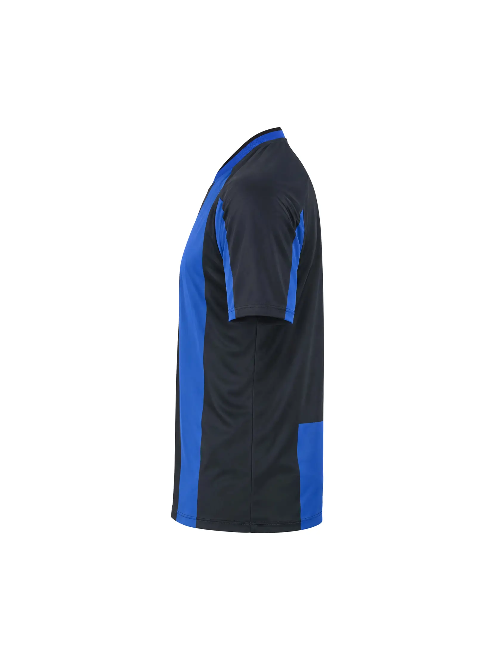 Bild på Evolve 2.0 Stripe Jersey M