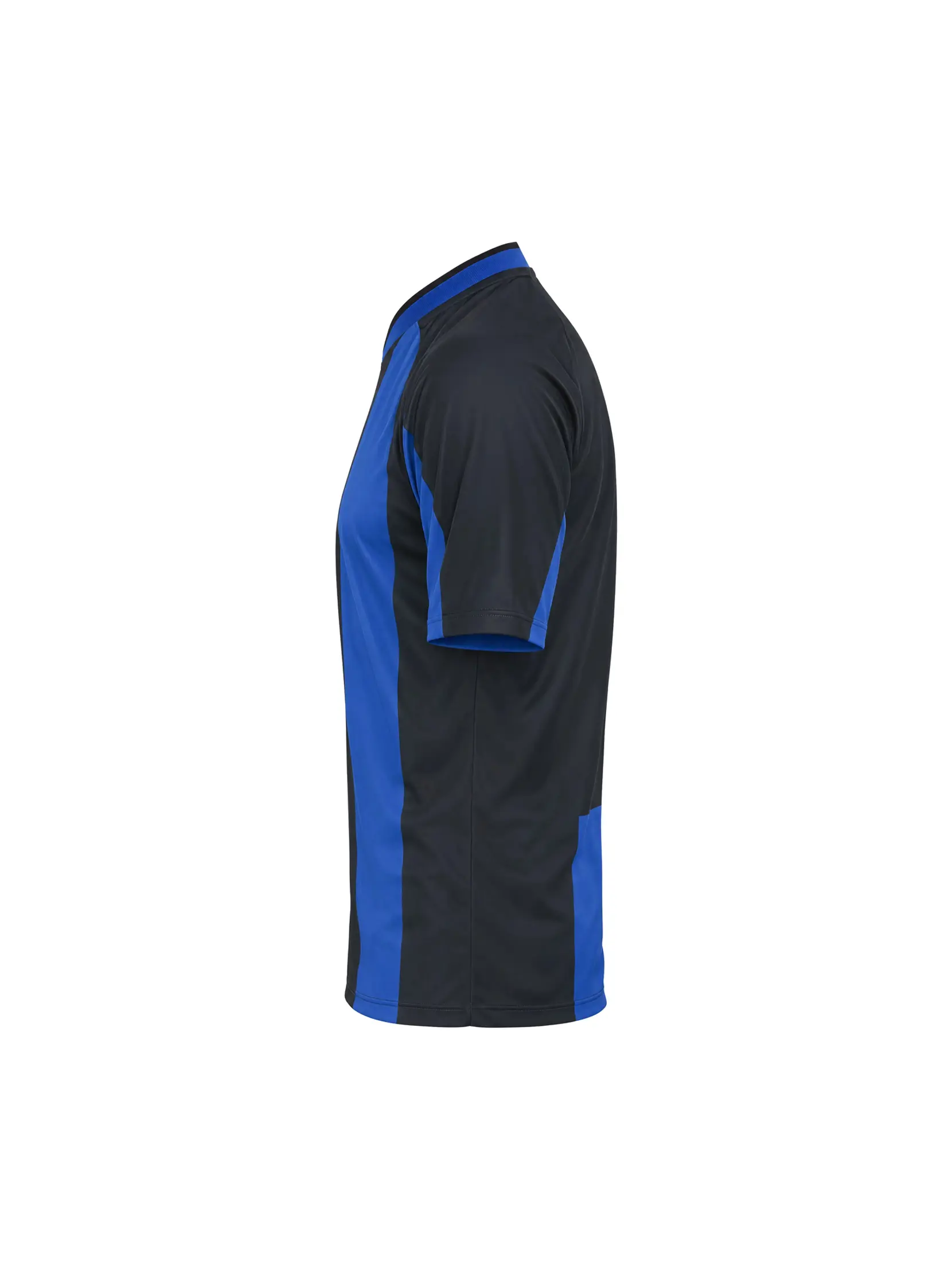Bild på Evolve 2.0 Stripe Jersey JR
