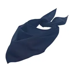 Bild på BANDANA