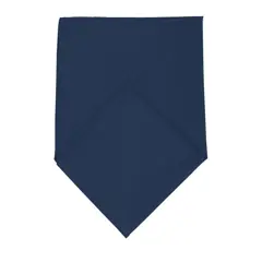 Bild på BANDANA